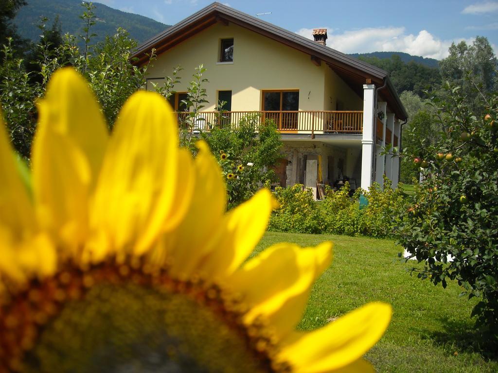 Agriturismo Il Girasole Feltre Exterior foto